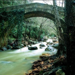 Cerrajeros en El Bosque