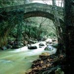 Cerrajeros en El Bosque